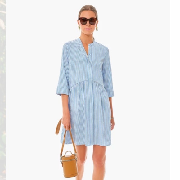 Blue Stripe Royal Shirt Dress TUCKERNUCK - Picture 3 of 13